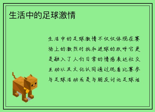 生活中的足球激情