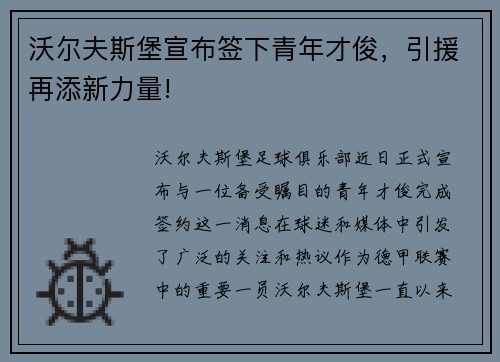 沃尔夫斯堡宣布签下青年才俊，引援再添新力量!