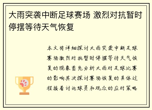 大雨突袭中断足球赛场 激烈对抗暂时停摆等待天气恢复