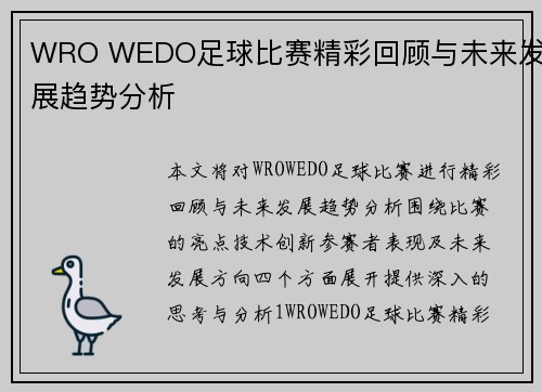 WRO WEDO足球比赛精彩回顾与未来发展趋势分析