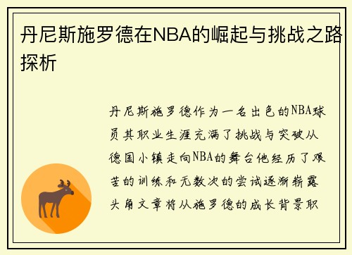 丹尼斯施罗德在NBA的崛起与挑战之路探析