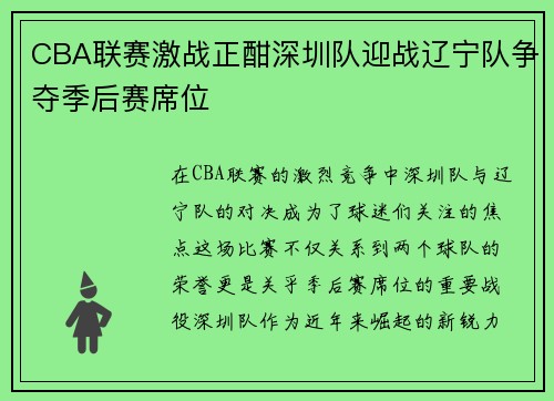 CBA联赛激战正酣深圳队迎战辽宁队争夺季后赛席位