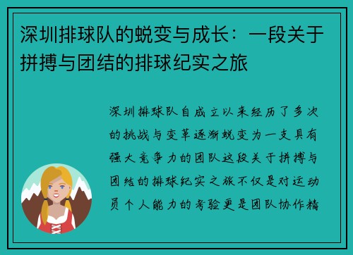 深圳排球队的蜕变与成长：一段关于拼搏与团结的排球纪实之旅